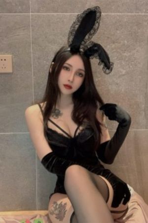 电影东北虎完整版在线播放_BD免费电视剧