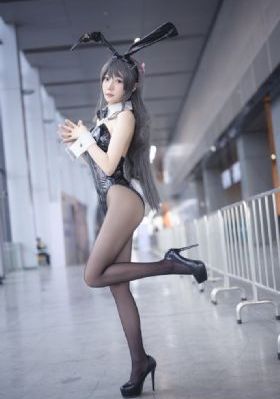 仙台有树免费观看电视剧完整版_4K高清完整版